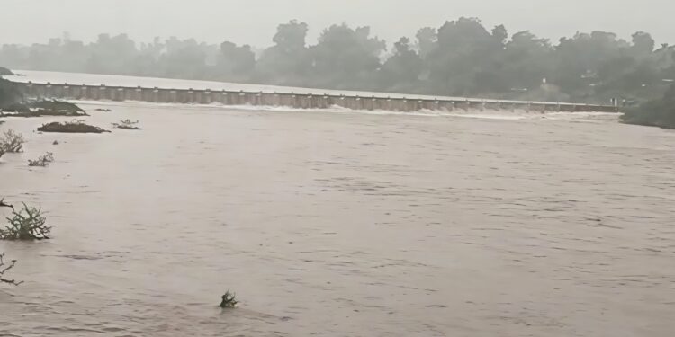 बाळद परिसरात पावसाचा कहर; तितुर नदीला महापूर