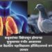 कबुतरांपासून होणाऱ्या फुफुसाच्याआजाराच्या रुग्णाचे वाचविले प्राण