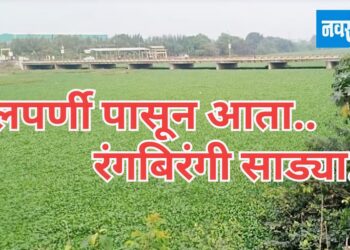 जलपर्णीपासून बनवल्या उपयोगी साड्या