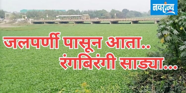 जलपर्णीपासून बनवल्या उपयोगी साड्या