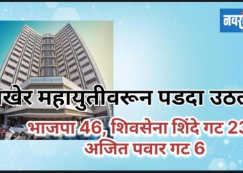 अखेर महायुतीवरून पडदा उठला