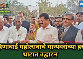 बाहिणाबाई महोत्सवाच्या माध्यमातून चांगली बाजारपेठ उपलब्ध 