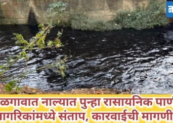 जळगावात नाल्यात विषारी रासायनिक पाणी; नागरिकांमध्ये तीव्र संताप