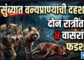 कुसुंब्यात वन्यप्राण्यांची दहशत; दोन रात्रींत चार वासरांचा फडशा