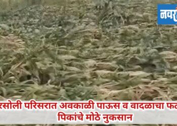 शिरसोली परिसरात अवकाळी पाऊस व वादळाचा फटका; पिकांचे मोठे नुकसान