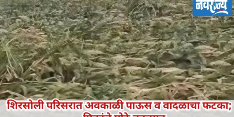 शिरसोली परिसरात अवकाळी पाऊस व वादळाचा फटका; पिकांचे मोठे नुकसान