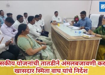 शासकीय योजनांची तातडीने अंमलबजावणी करा; खासदार स्मिता वाघ यांचे निर्देश