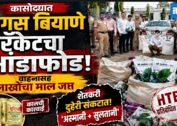 कासोद्यात बोगस बियाणे रॅकेटचा भांडाफोड; वाहनासह लाखोंचा माल जप्त