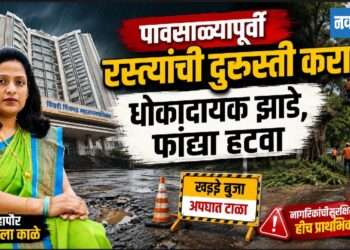पावसाळ्यापूर्वी रस्त्यांची दुरुस्ती करा ; धोकादायक झाडे, फांद्या हटवा