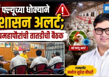 बर्ड फ्ल्यूच्या धोक्याने प्रशासन अलर्ट; उपमहापौरांची तातडीची बैठक