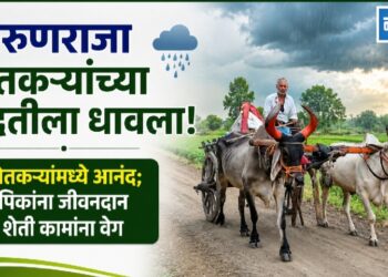 वरुणराजा धावला शेतकऱ्यांच्या मदतीला !