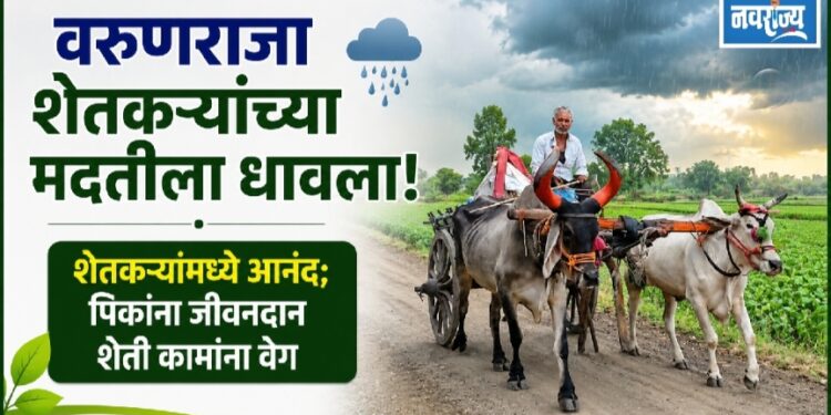 वरुणराजा धावला शेतकऱ्यांच्या मदतीला !