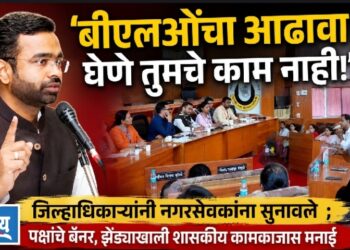 बीएलओंचा आढावा घेणे तुमचे काम नाही!