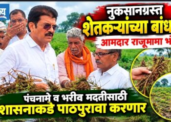 नुकसानग्रस्त शेतकऱ्यांच्या बांधावर आ. राजूमामा भोळे; पंचनामे व भरीव मदतीसाठी शासनाकडे पाठपुरावा करणार